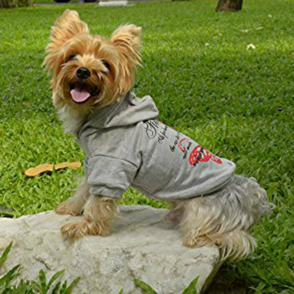 DoggyDolly W232 - grey dog sweater for winter