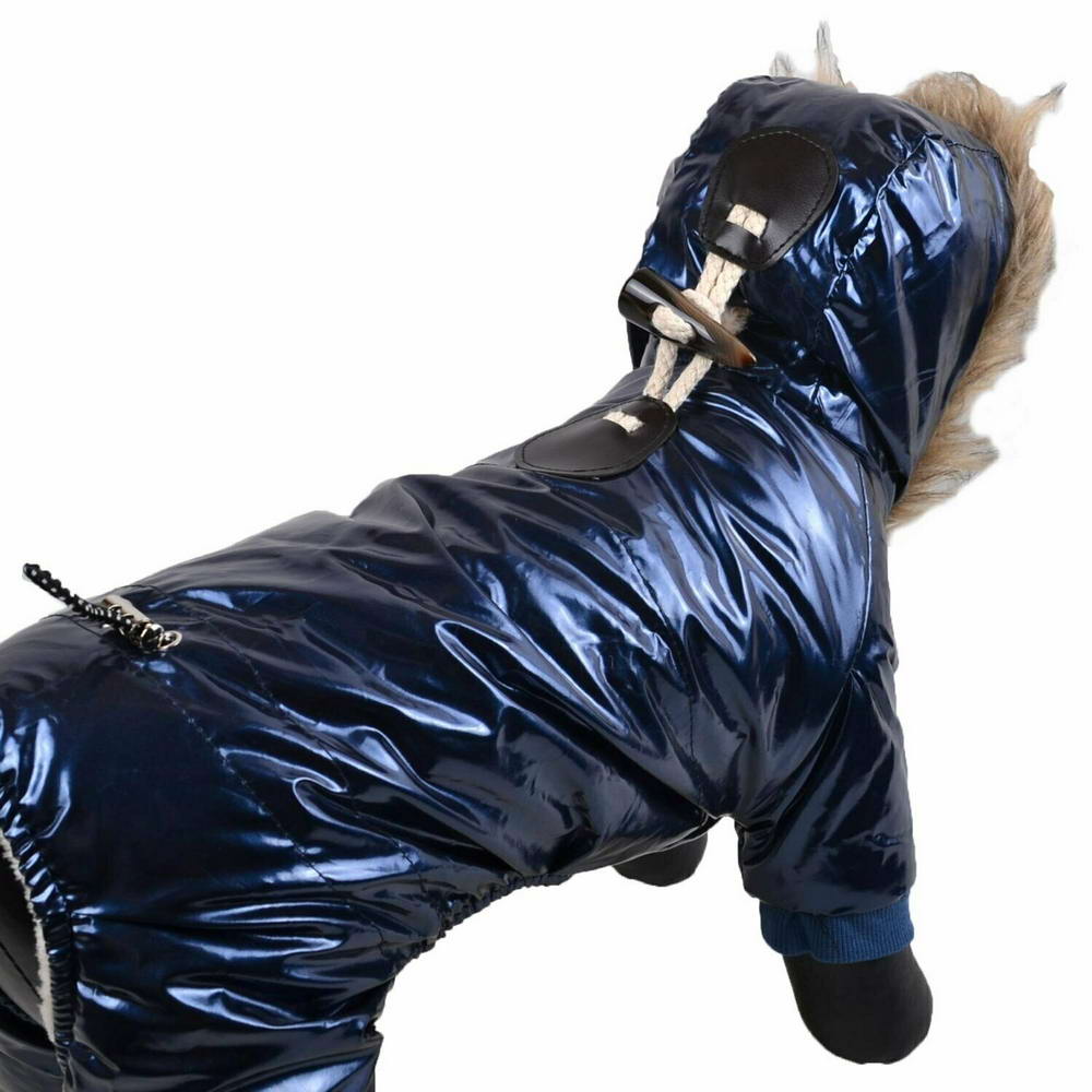 Snow suit for small dogs