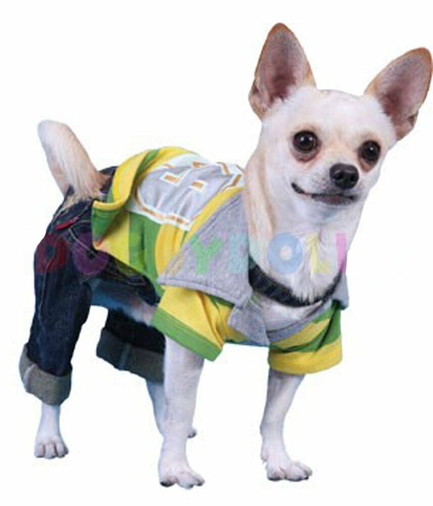 Cute polo shirt for dogs - dog clothing with best price guarantee