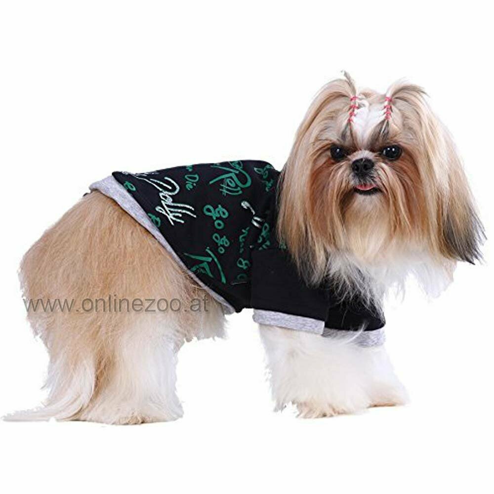 warm dog pullover with hood