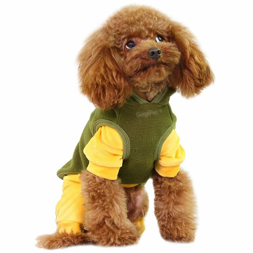 This dog jumper can be super combined with any dog clothes