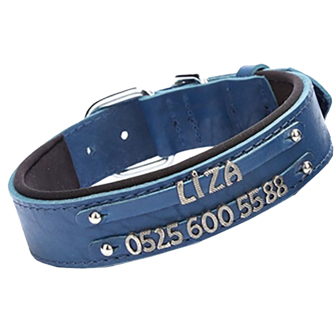 Double row name collar from GogiPet - Blue comfort dog collar for letters and numbers to make your own