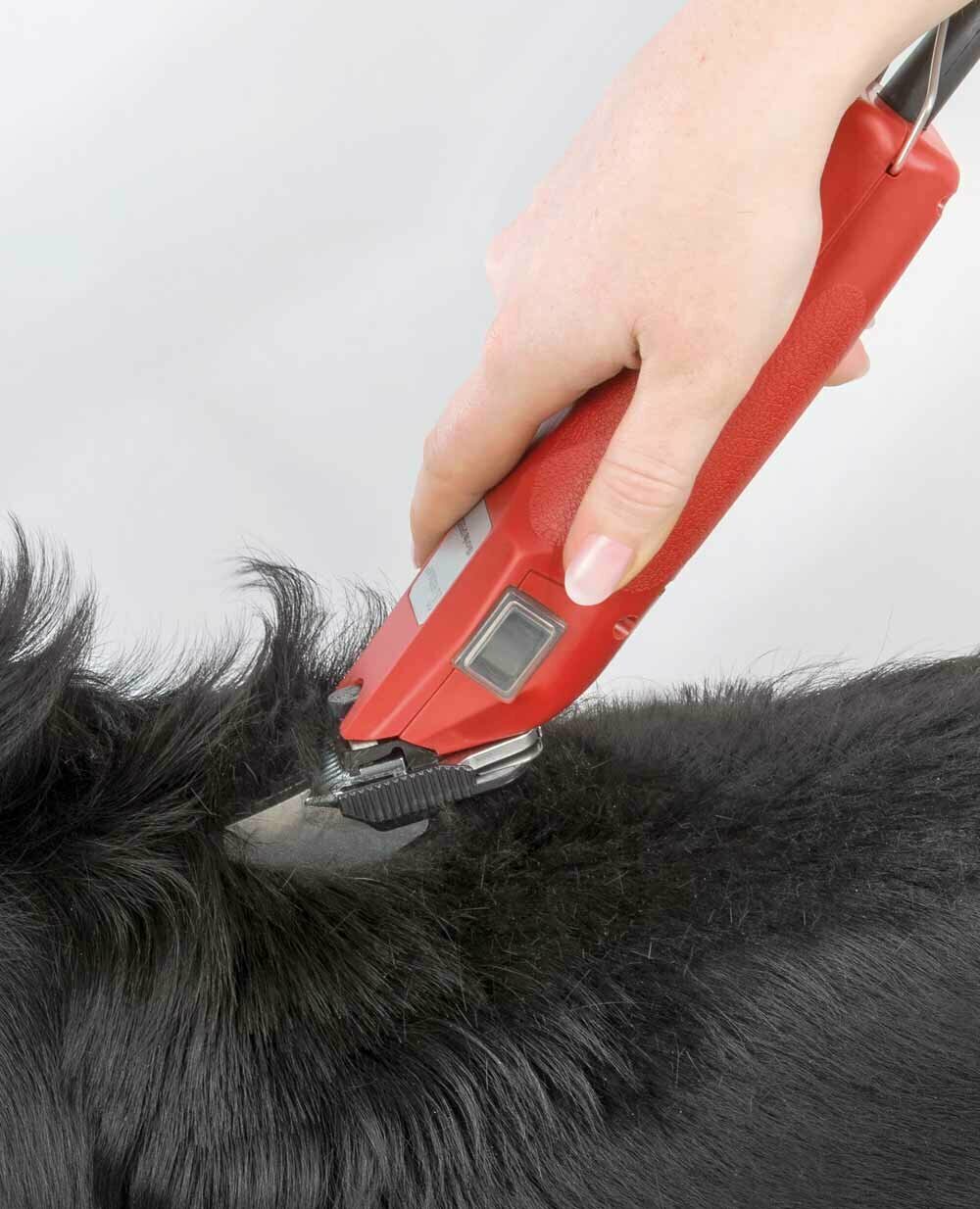 The new powerfull pet clipper fby Aesculap