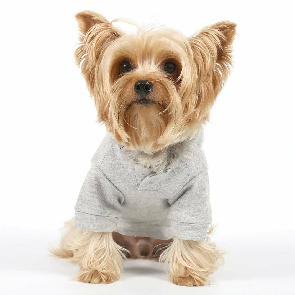 Grey sweater for dogs - warm dog clothes