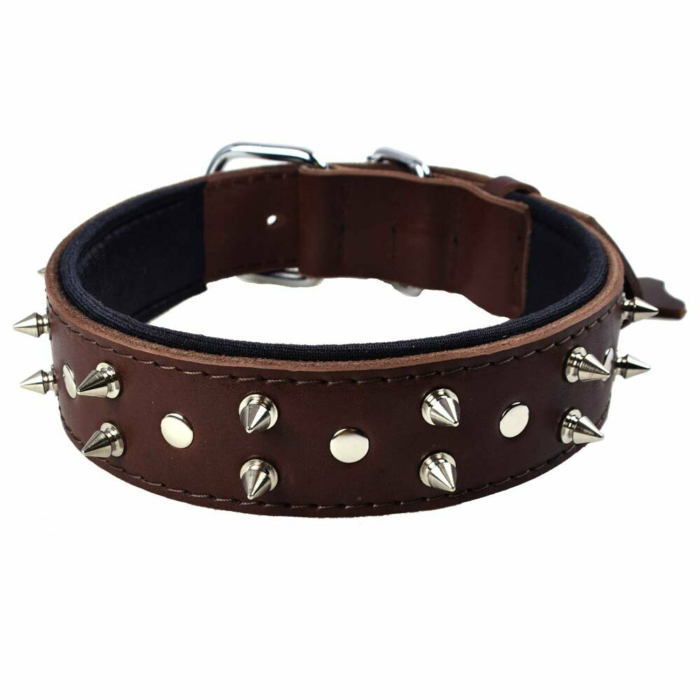 Rivet dog collar for big dogs and small dogs by GogiPet