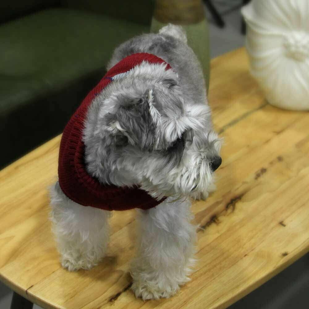 Red Collar Dog Sweater by GogiPet