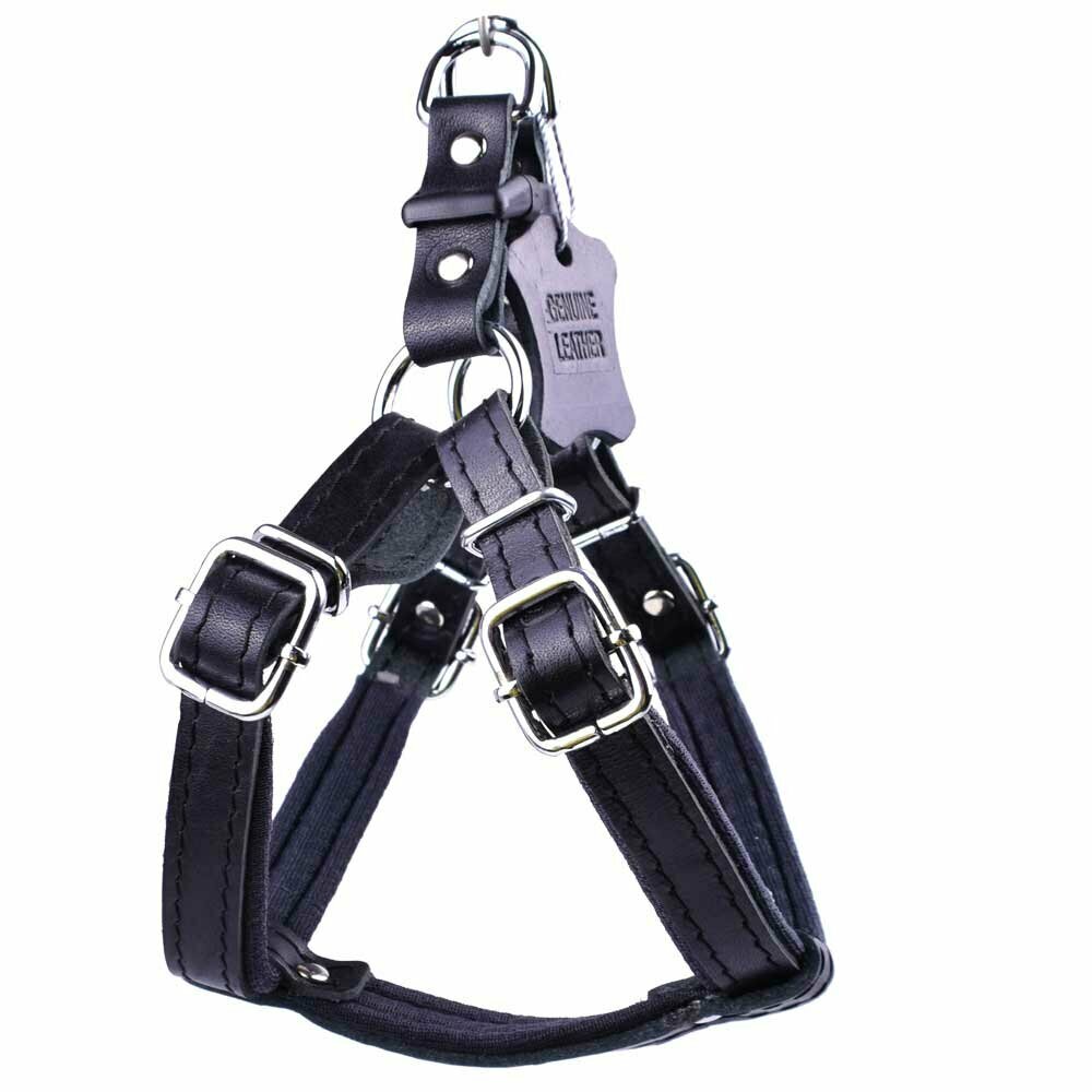 Soft padded dog harness in black leather