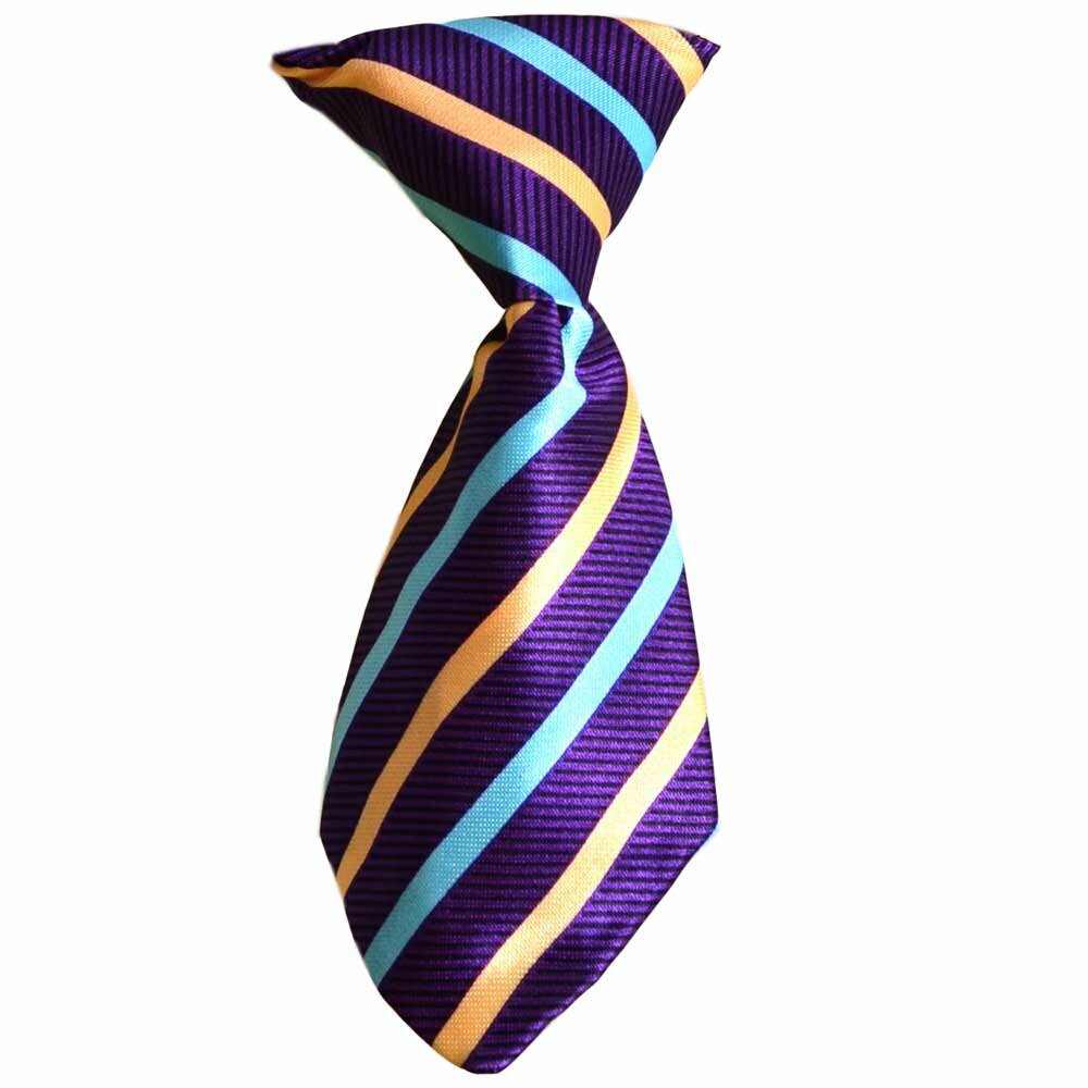 Dog tie purple, yellow, blue striped