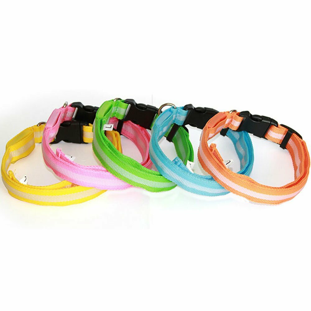 Clip dog collar with light GogiPet ®