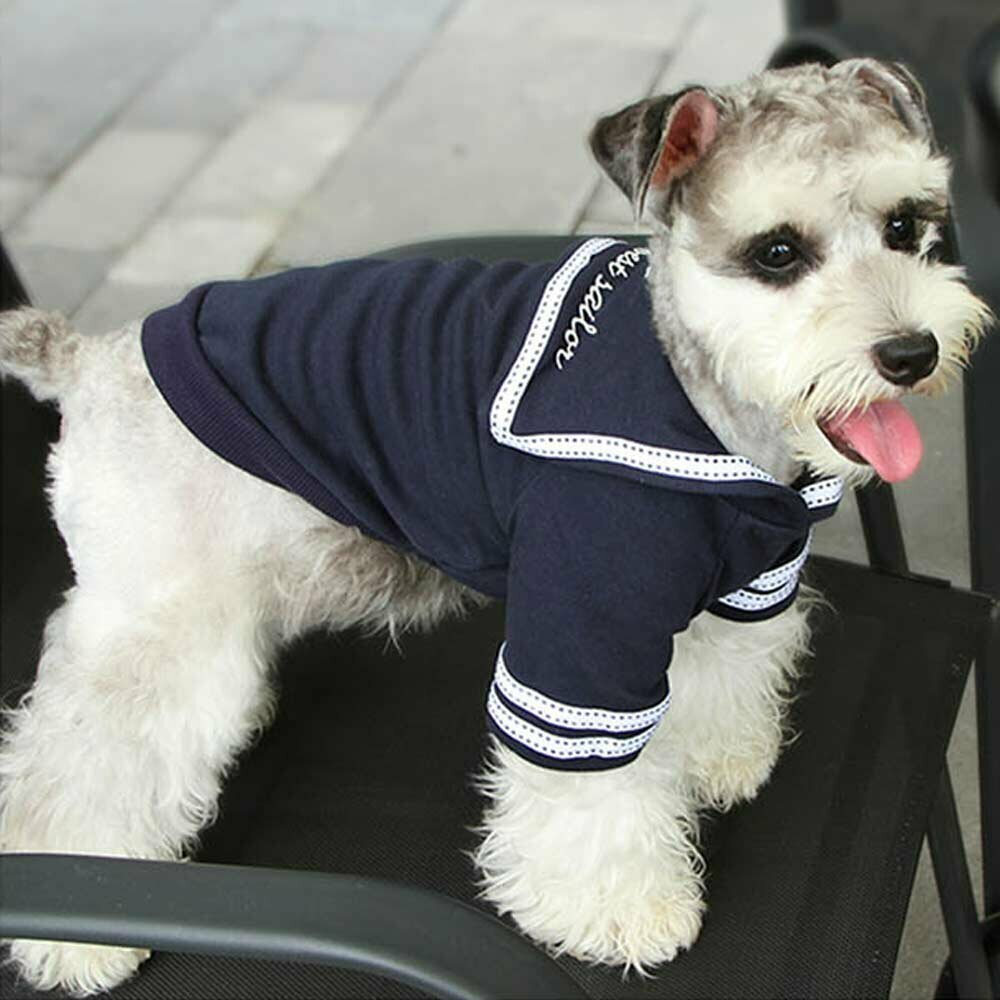 Warm dog sweater blue