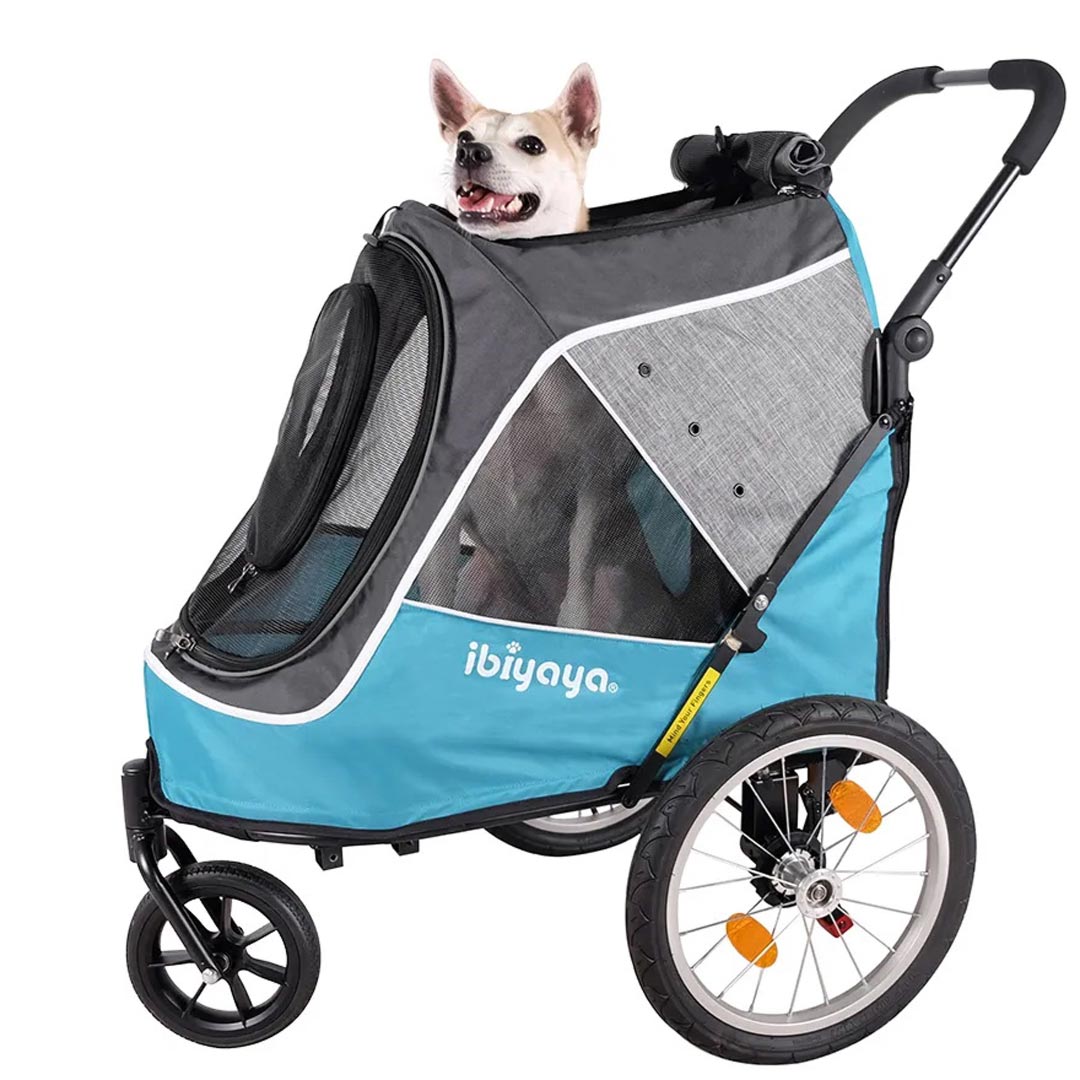 Sporty 3 wheel dog carrier