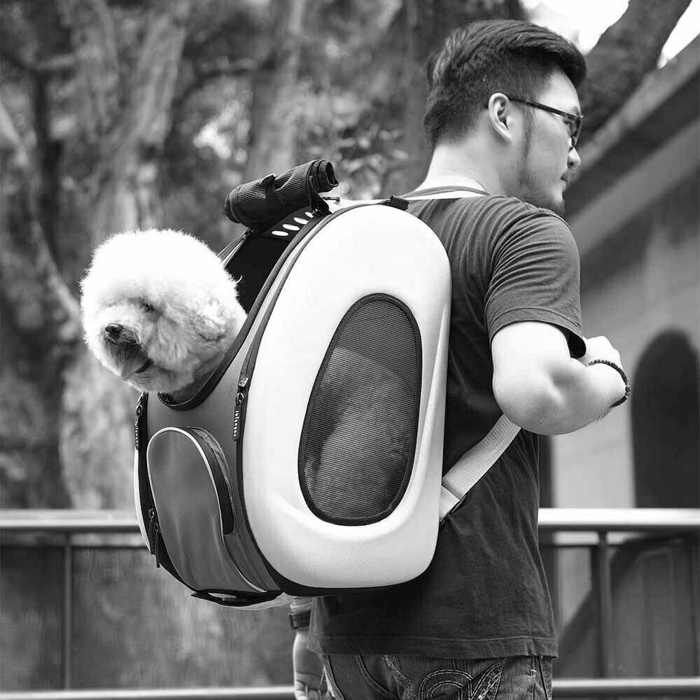 dog carrier bag with dog backpack function