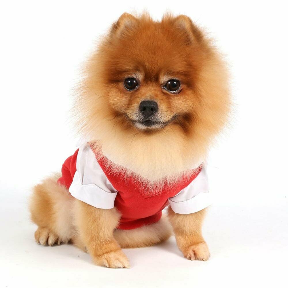 Red fleece sweater for dogs