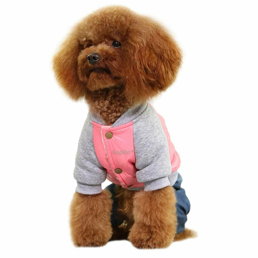 Hot dogs garment of GogiPet - dog anorak with jeans Pink