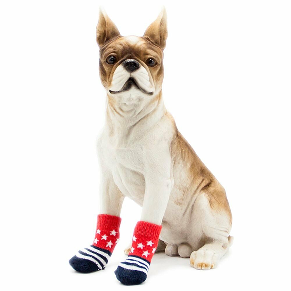 Dog socks red blue with red stars
