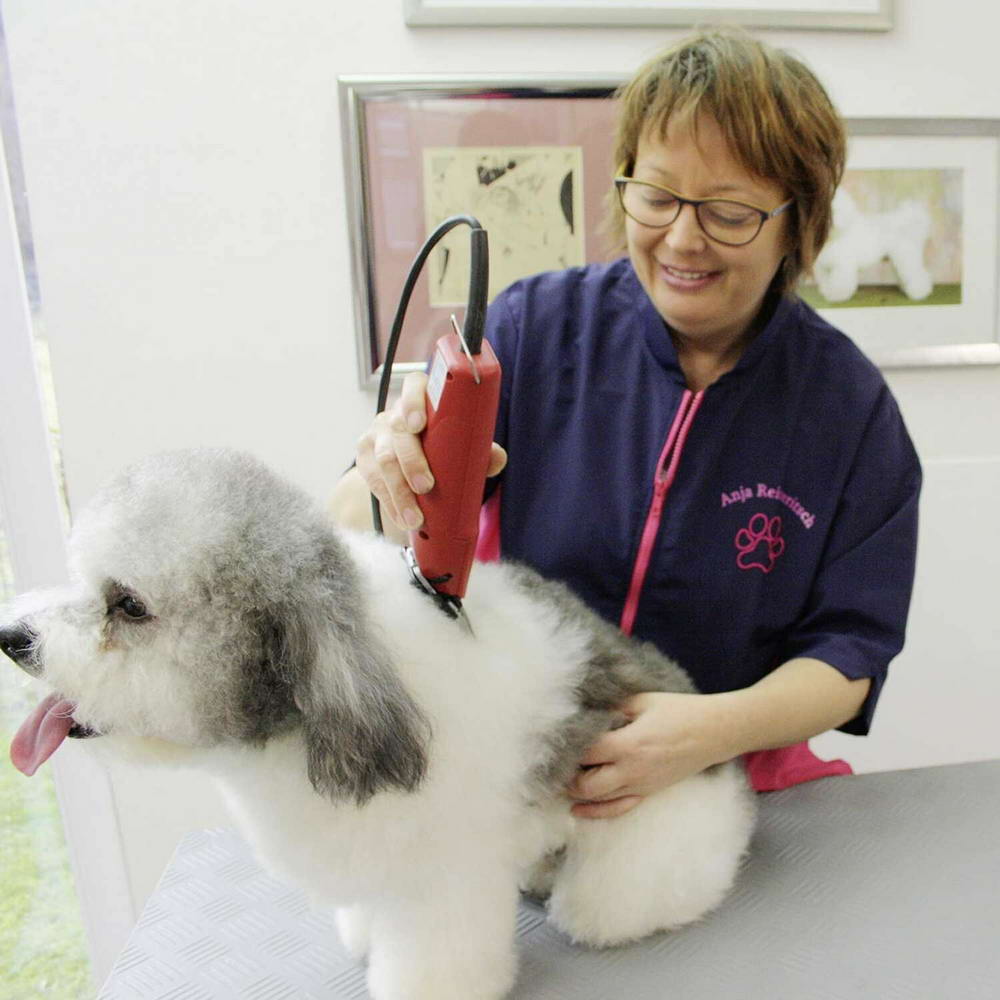 Dog hairdresser clipper for perfect work