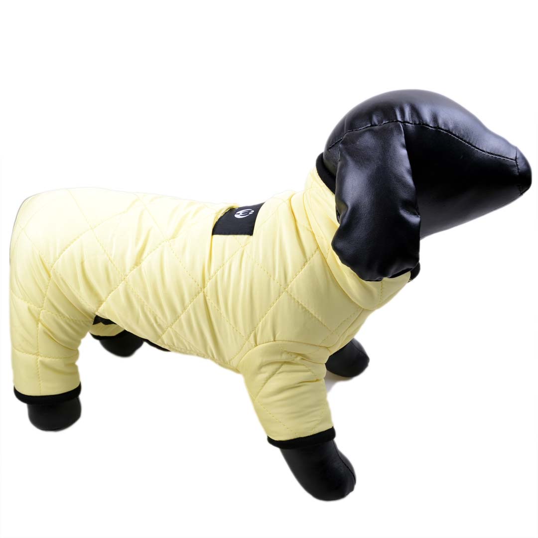 Dog Snowsuit for Snow and Rain