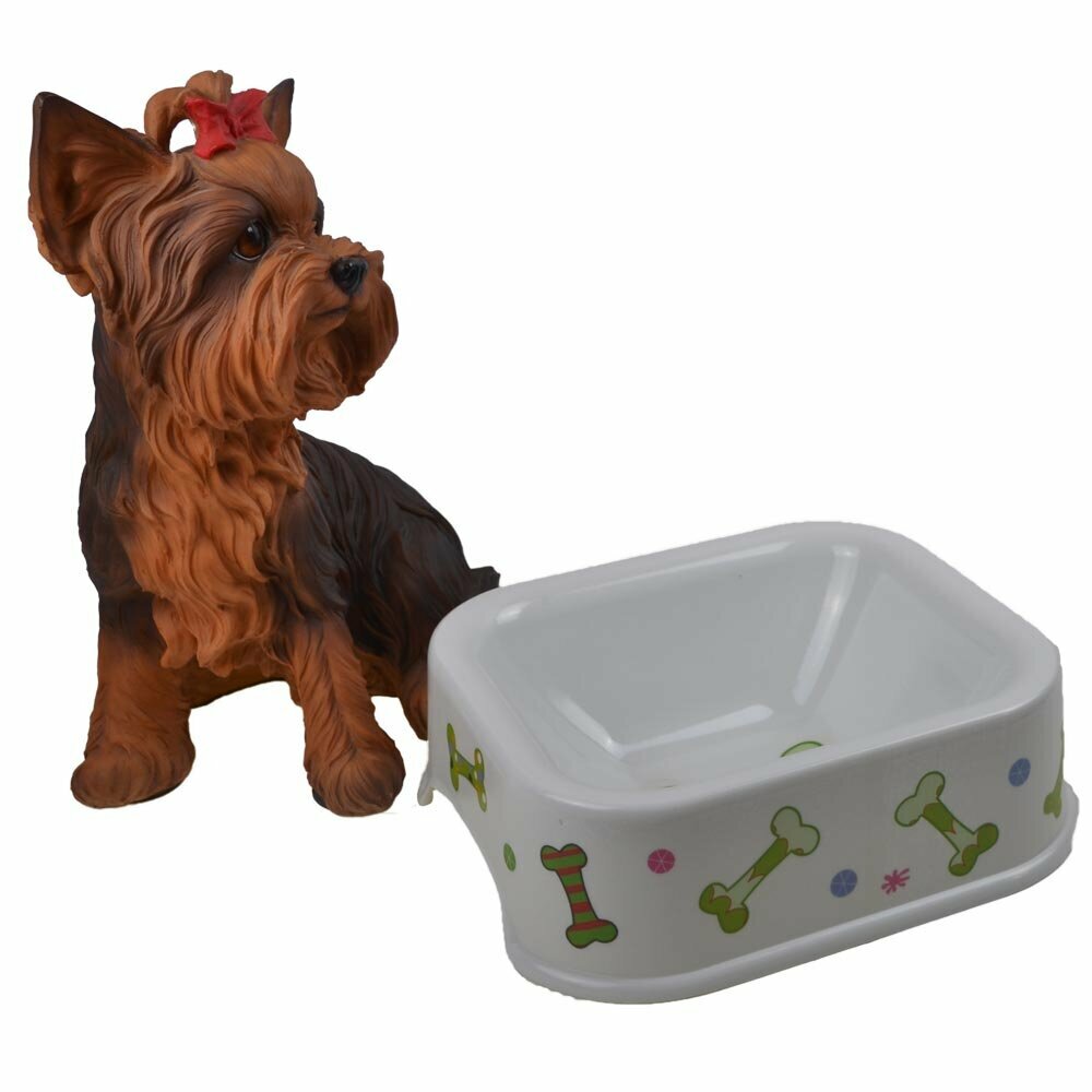 Water bowl or feeding bowl of GogiPet with bone