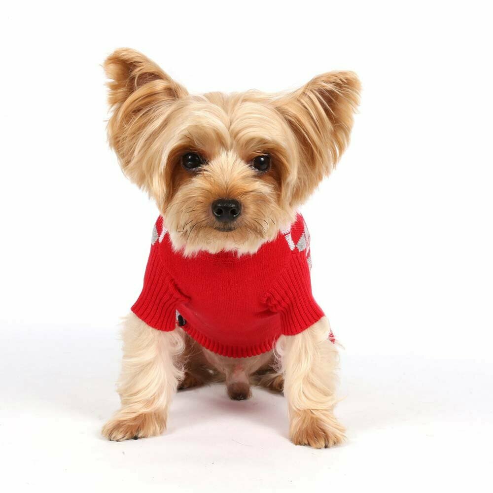 Red plaid sweater for dogs