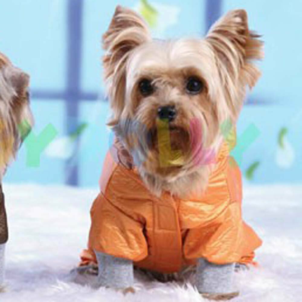 dog raincoat for small dogs by DoggyDolly