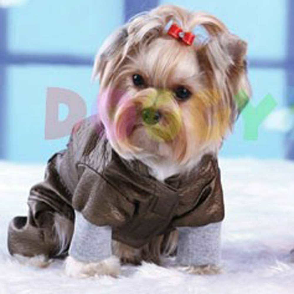 Cooler Raincoat for dogs for the transitional period with light padding