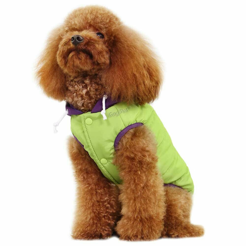 Warm dog garment green with hood