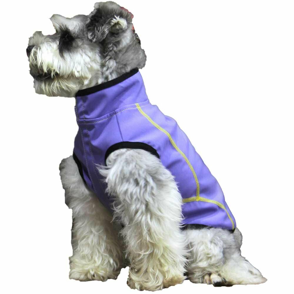 Purple dog raincoat by GogiPet