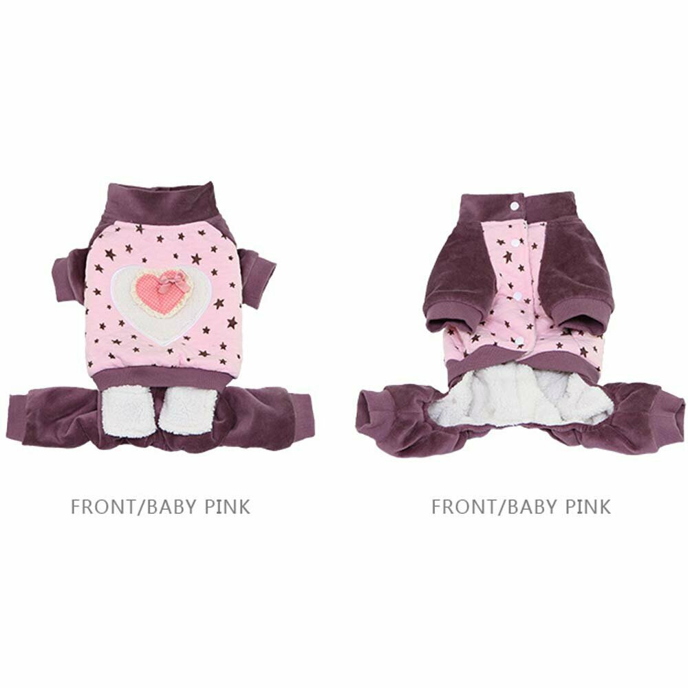 Front and rear view of the dog coat