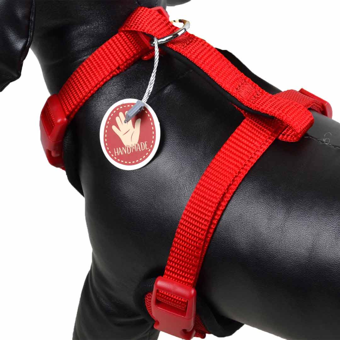 Robust soft dog harnesses for sensitive dogs
