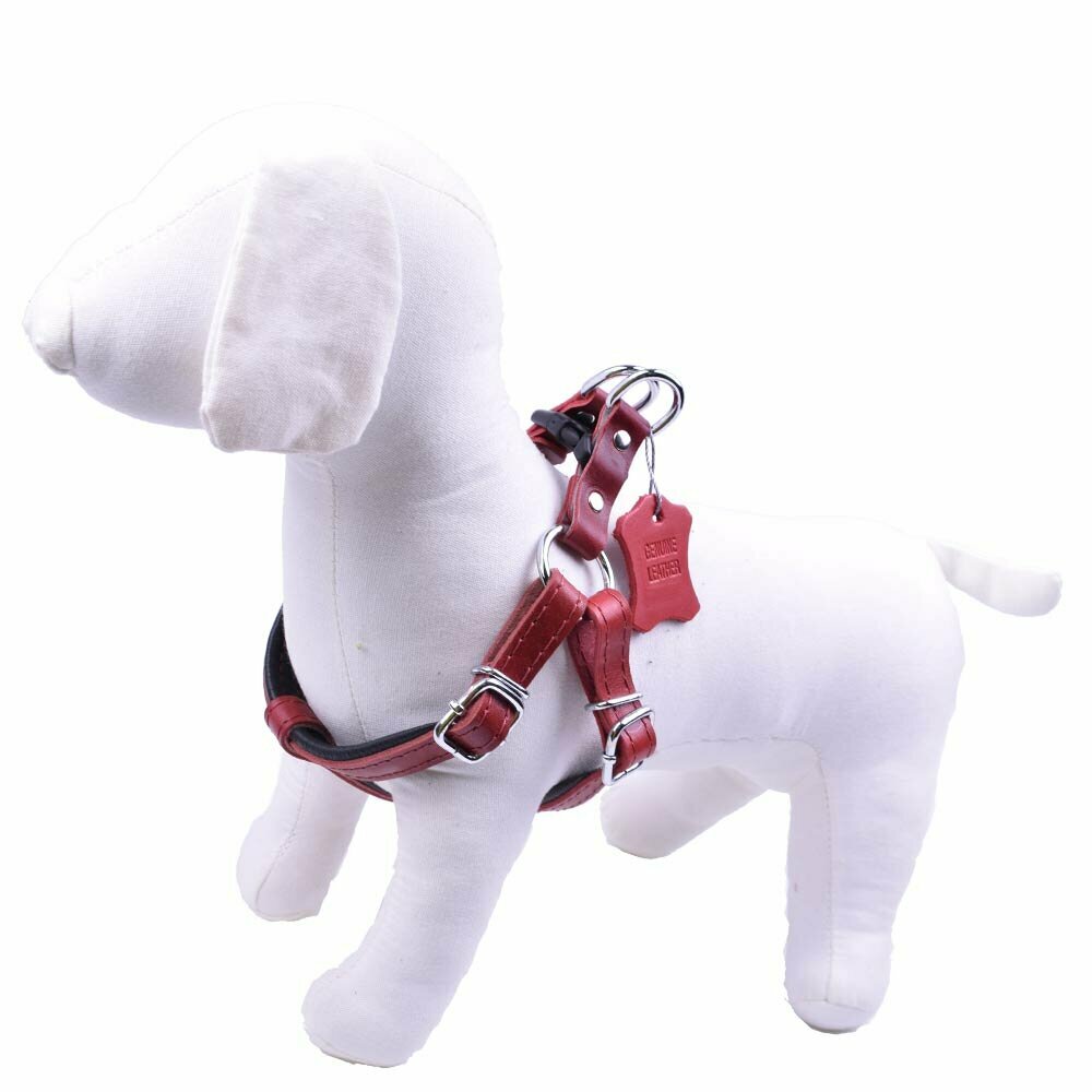 Luxury leather dog harness red - extra soft dog harness