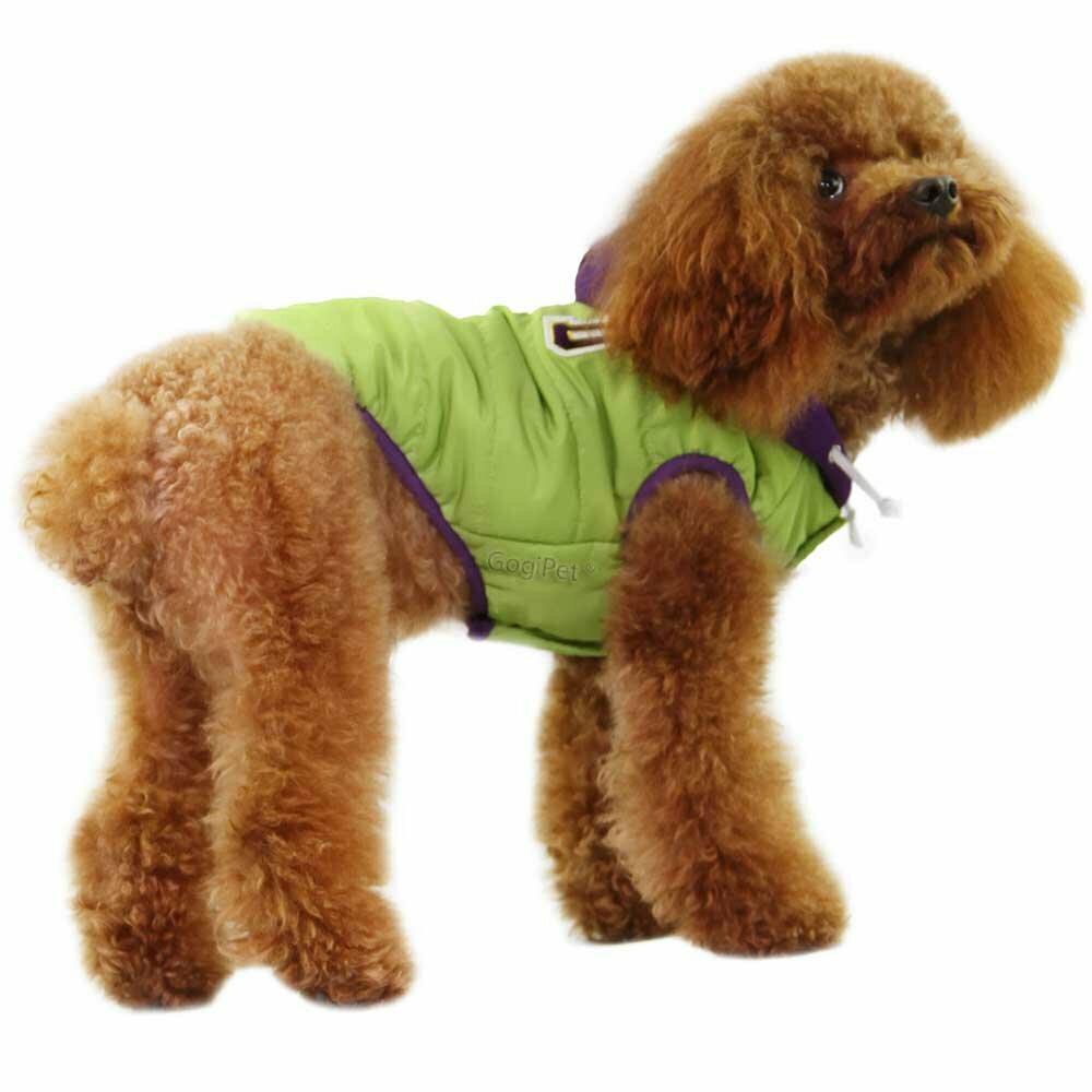 GogiPet ® dog anorak pale green for the winter