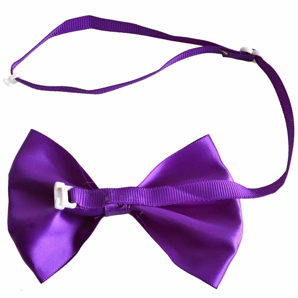 Violet dog bow tie with quick release