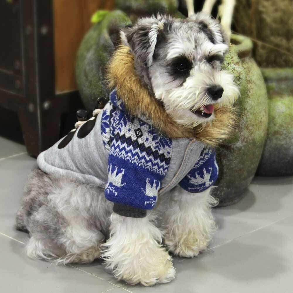 Buy cheap dog clothes from GogiPet at Onlinezoo