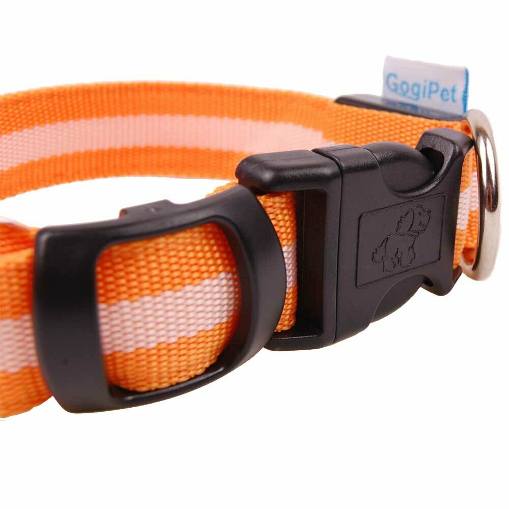 Orange flash collar with LED light - Cheap collars of GogiPet ®