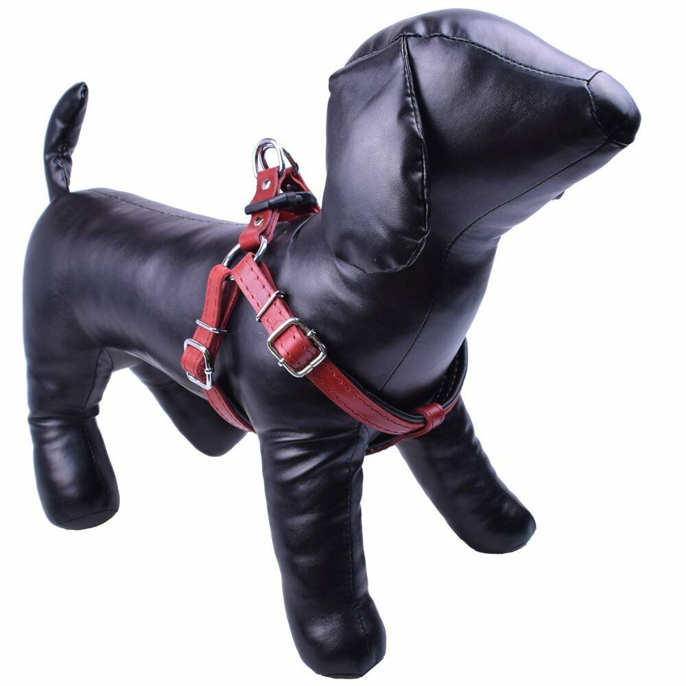 Real leather dog harness from red first class leather