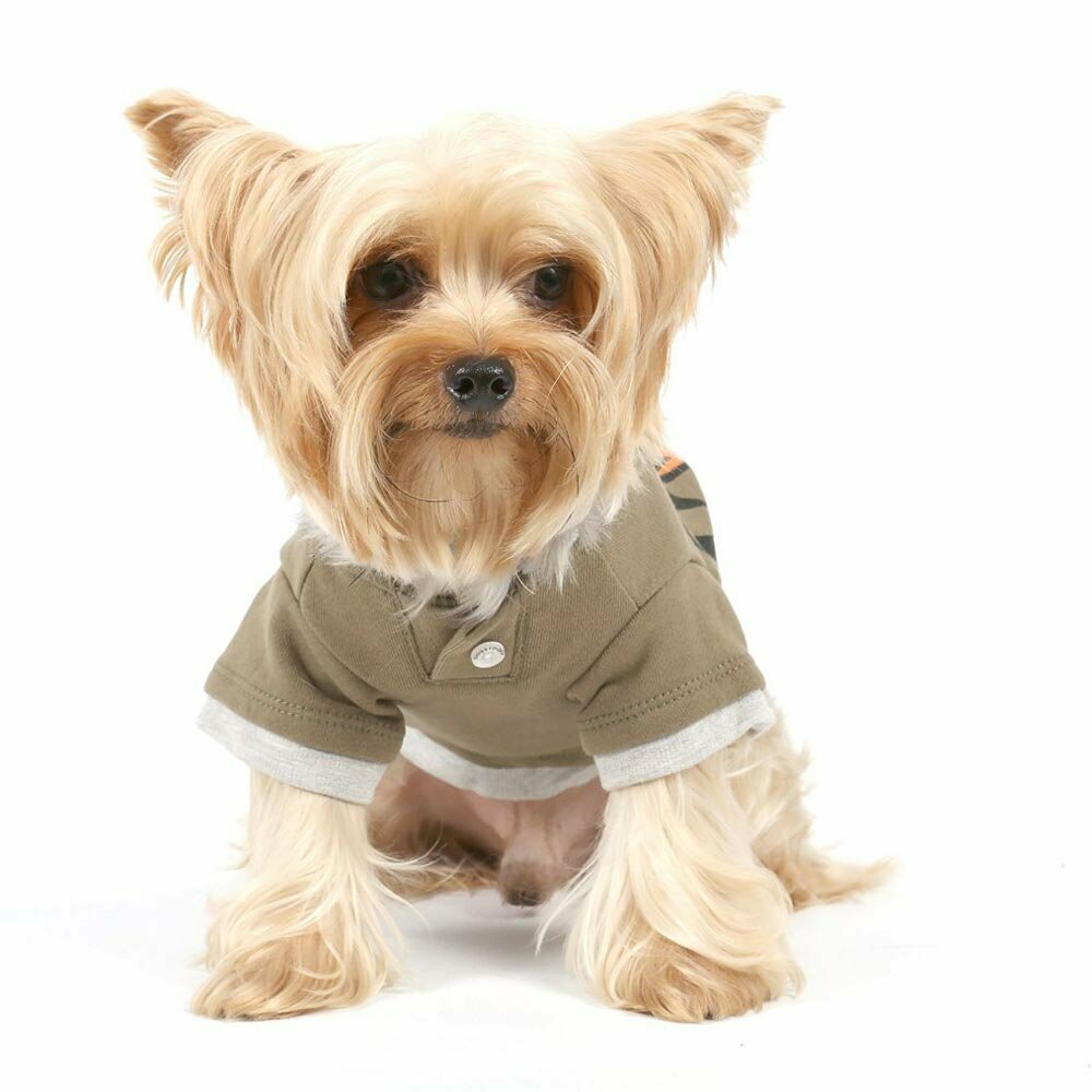 Modern dog clothes by DoggyDolly dog fashions