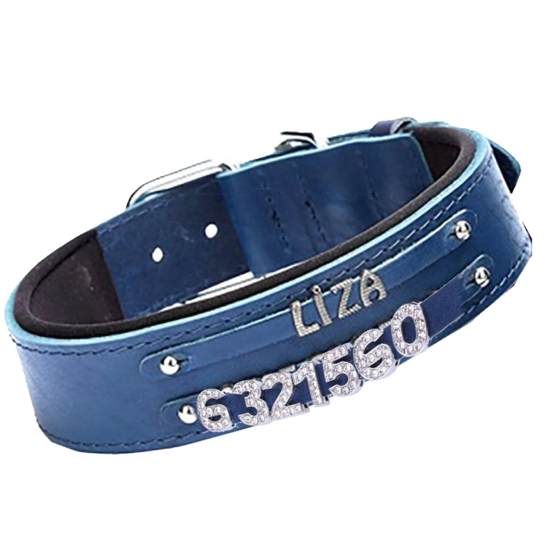 Leather dog collar blue as name collar or number collar for metal and rhinestone motifs