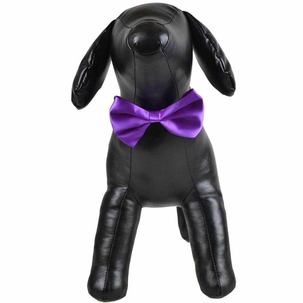 Violet bow tie for dogs as fast binder