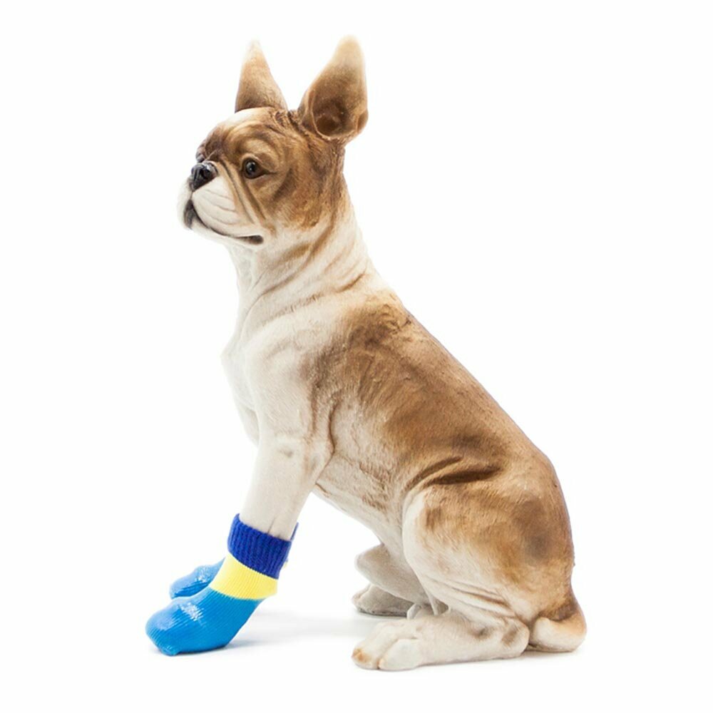Rubber boots for dogs - light blue dog shoes