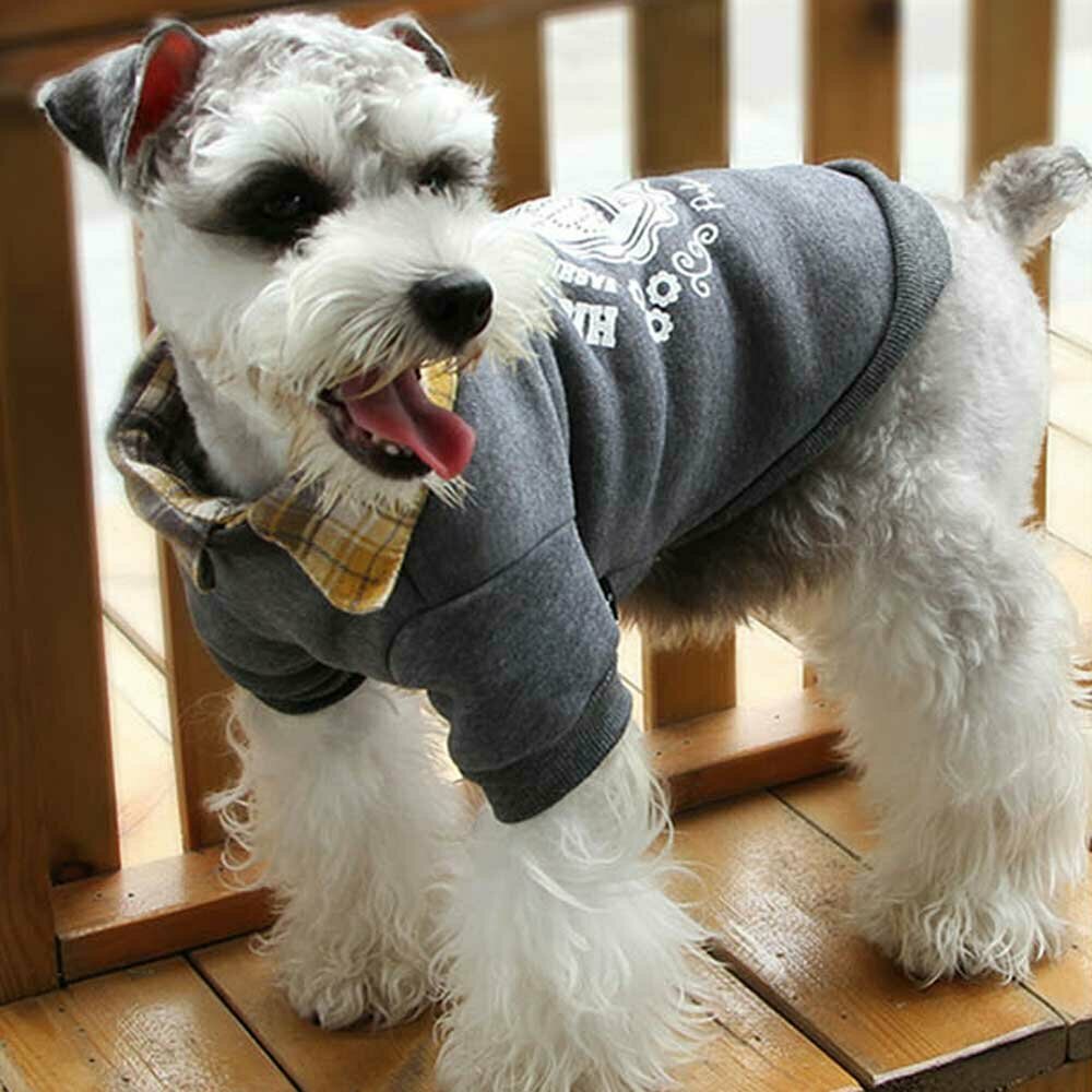 Pullover for dogs gray from warm fleece