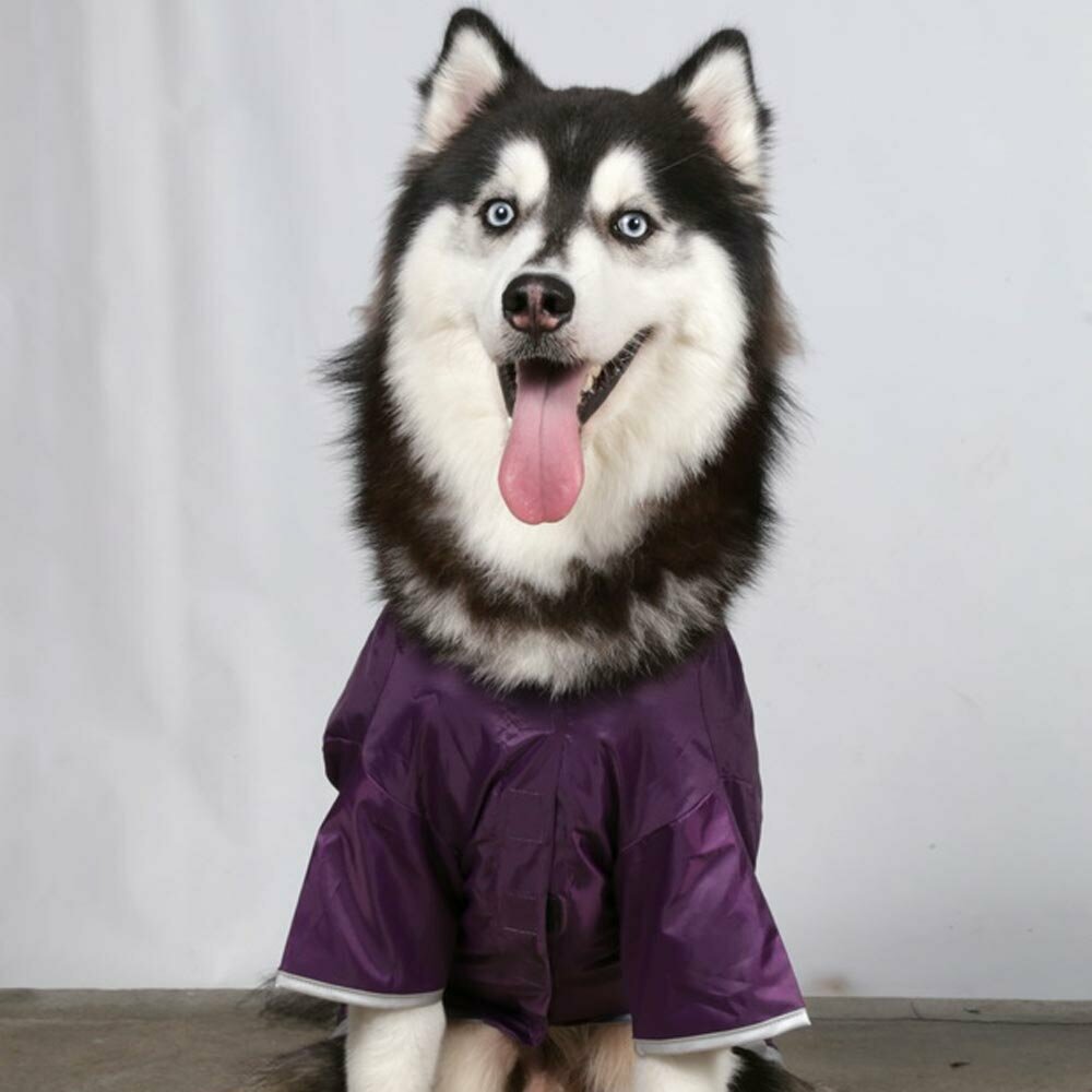raincoat for large dogs purple
