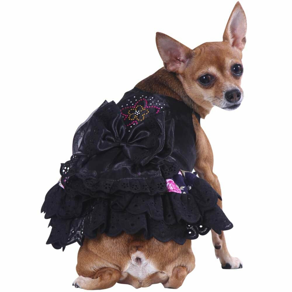 Black Luxury Dog Dress DoggyDolly Elly