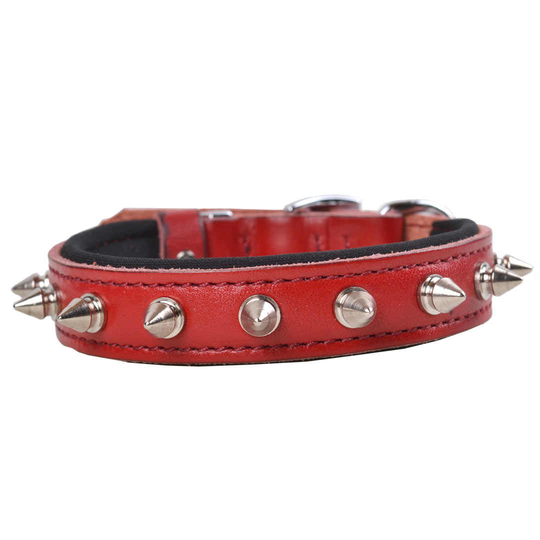 Cool red spike dog collar