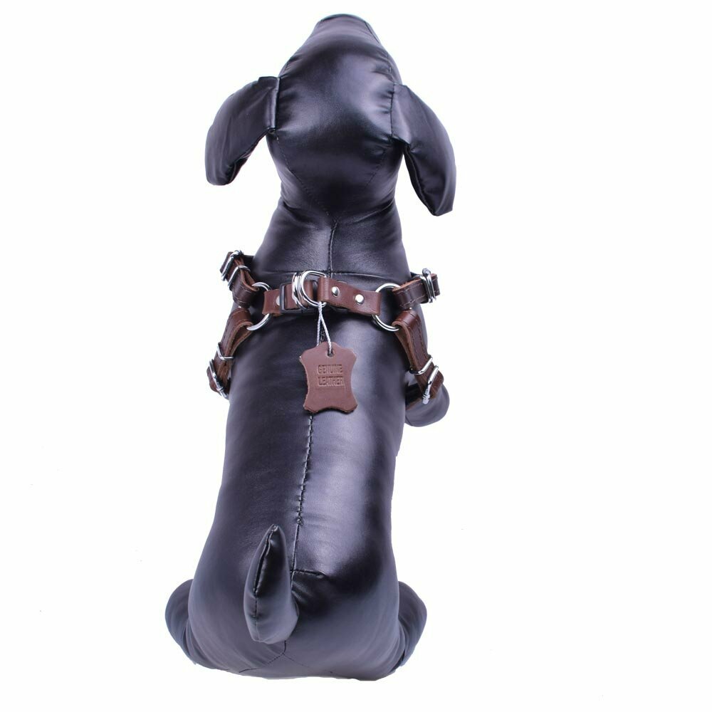 Handmade leather dog harnesses from GogiPet
