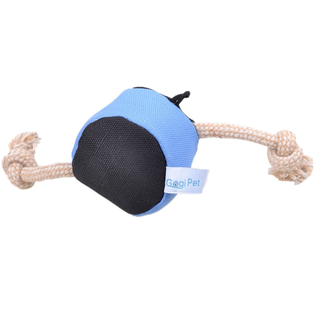 Ball dog toy with dental ropes