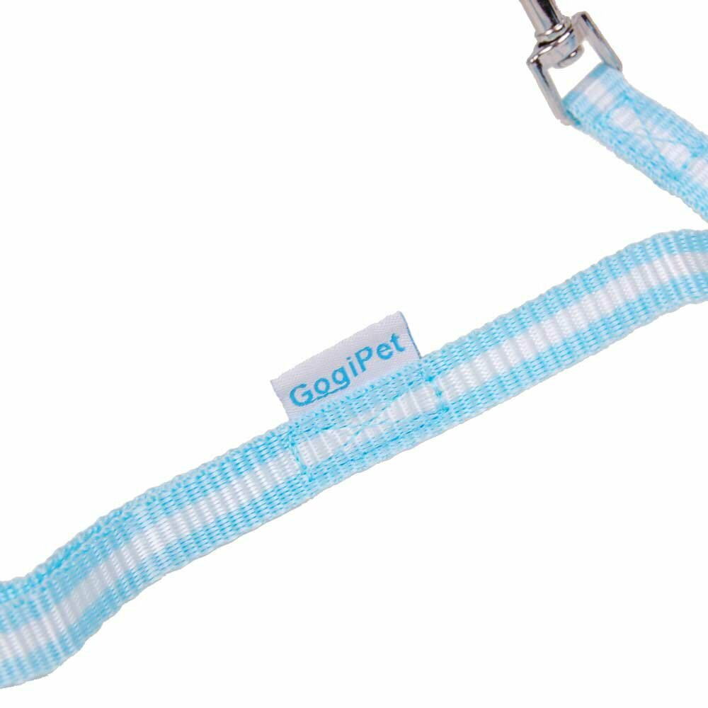 Dog Harness with free blue leash