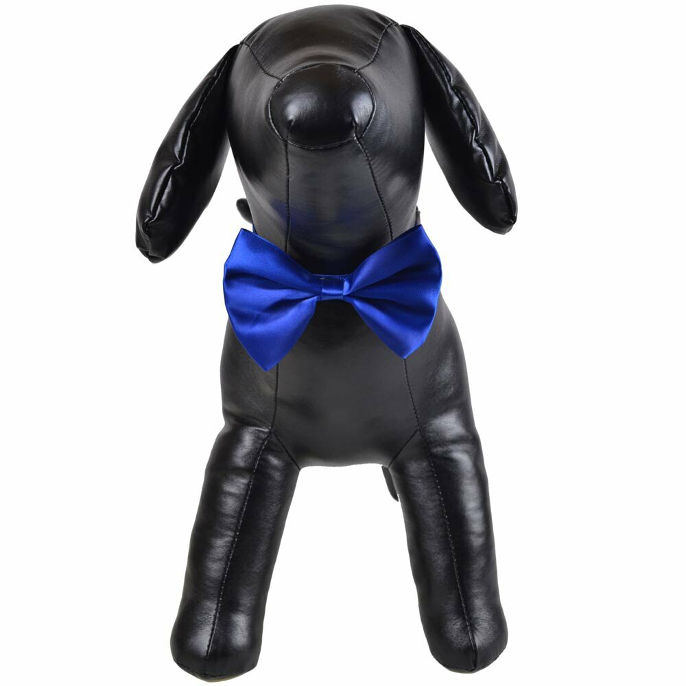 Darkblue bow tie for dogs as fast binder
