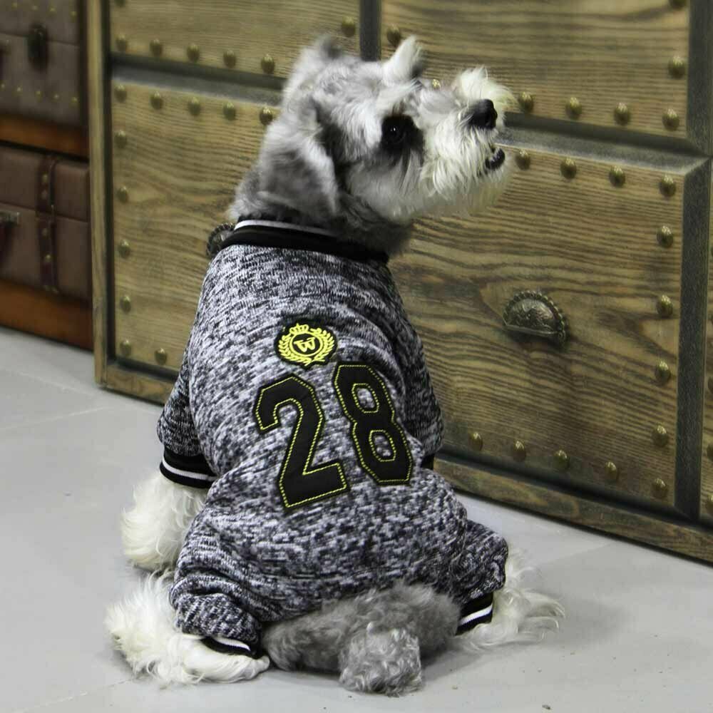 High quality dog trainingsuit gray