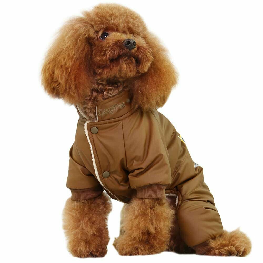 Brown snowsuit for dogs Professional Stars - dog clothes