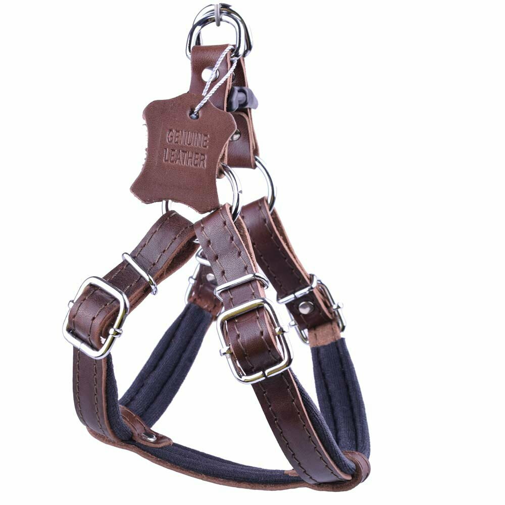 Dog harness brown - extra soft dog harness
